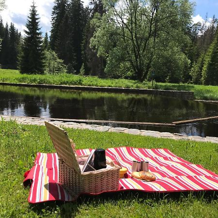 Apartmán 12 Stožec Esterno foto