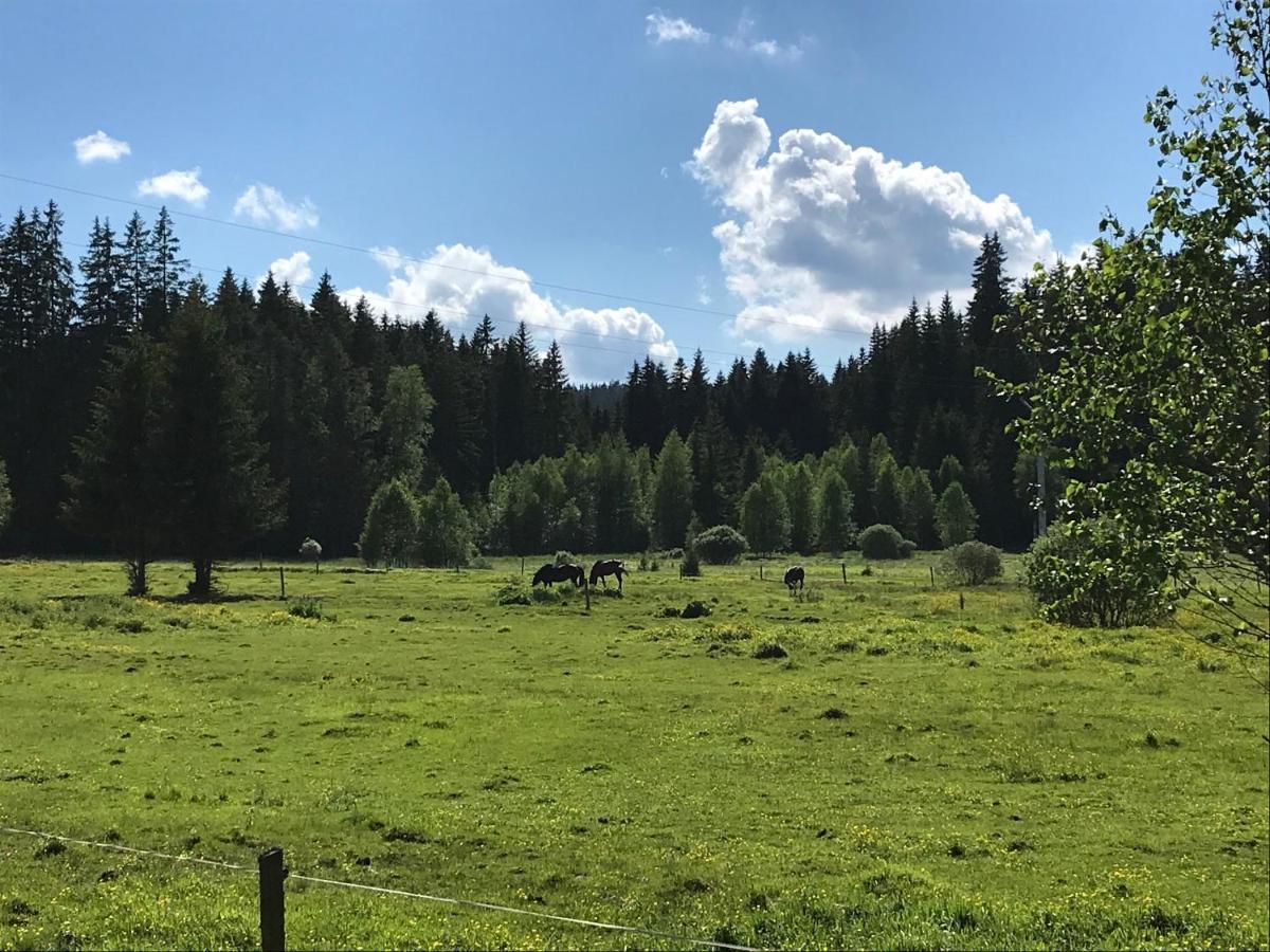 Apartmán 12 Stožec Esterno foto